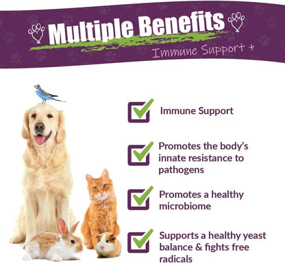 Amber NaturalZ Vibactra Plus Herbal Supplement for Dogs, Cats, Birds, Guinea Pigs, and Rabbits | Herbs for Immune Health and Yeast Balance | 4 Fluid Ounce Glass Bottle