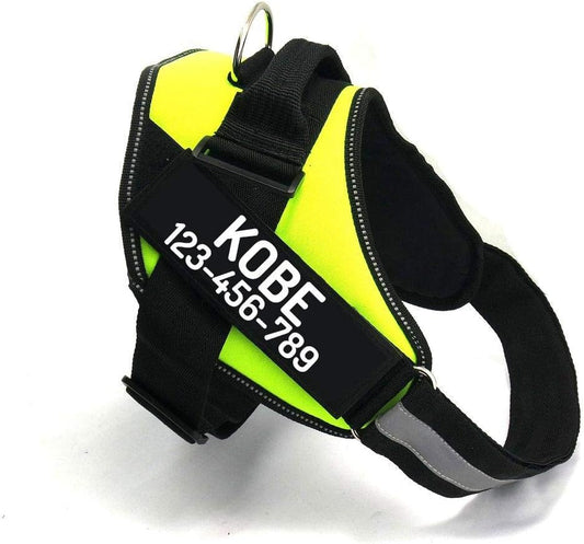 PawPawify Custom No Pull Dog Harness with Name and Phone Number, Heavy Duty Personalized Pet Vest to Prevent Tugging, Pulling, or Choking, Training and Walking (Green, S (10-19LBS))