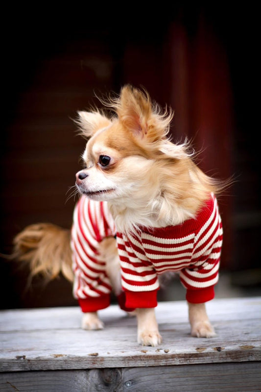 Fitwarm Red and White Striped Dog Pajamas, Waffle Dog Clothes for Small Dogs Girl Boy, Puppy Onesie with Feet, Pet Christmas Outfit, Medium
