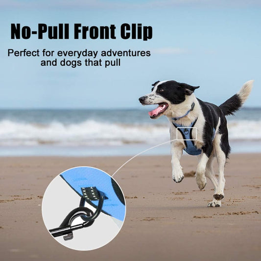 PoyPet No Pull Dog Harness, Reflective Comfortable Vest Harness with Front & Back 2 Leash Attachments and Easy Control Handle Adjustable Soft Padded Pet Vest for Small to Large Dogs (Light Blue,XL)