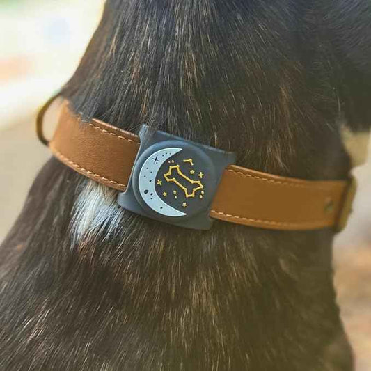 Two Tails Zodiac Dog Collar Holder Compatible with Apple AirTag, Durable Silicone Slide-On Case for Pets, Secure Tracker Cover, Easy to Clean