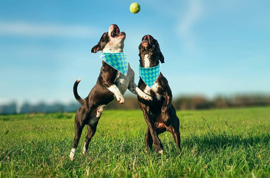 Lionet Paws Dog Bandana,Fabric Ball Dogs Kerchief for Medium Large Dogs,Dog Cotton Triangle Bibs Scarf for Girl Boy