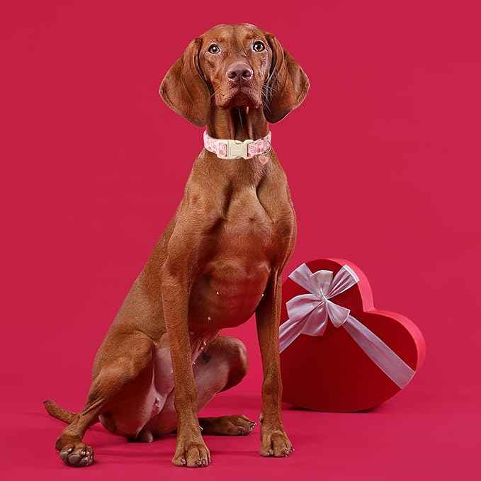 DOGWONG Pink Heart Dog Collar, XL (1.2" W x 16-26" L), Soft & Comfortable, Valentine's Day Special, for Small, Medium, Large Dogs