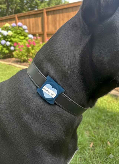 Two Tails Mama's Boy Dog Collar Holder Compatible with Apple AirTag, Durable Silicone Slide-On Case for Pets, Secure Tracker Cover, Easy to Clean