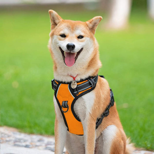 PoyPet No Pull Dog Harness, Reflective Comfortable Vest Harness with Front & Back 2 Leash Attachments and Easy Control Handle Adjustable Soft Padded Pet Vest for Small to Large Dogs (Orange,XS)