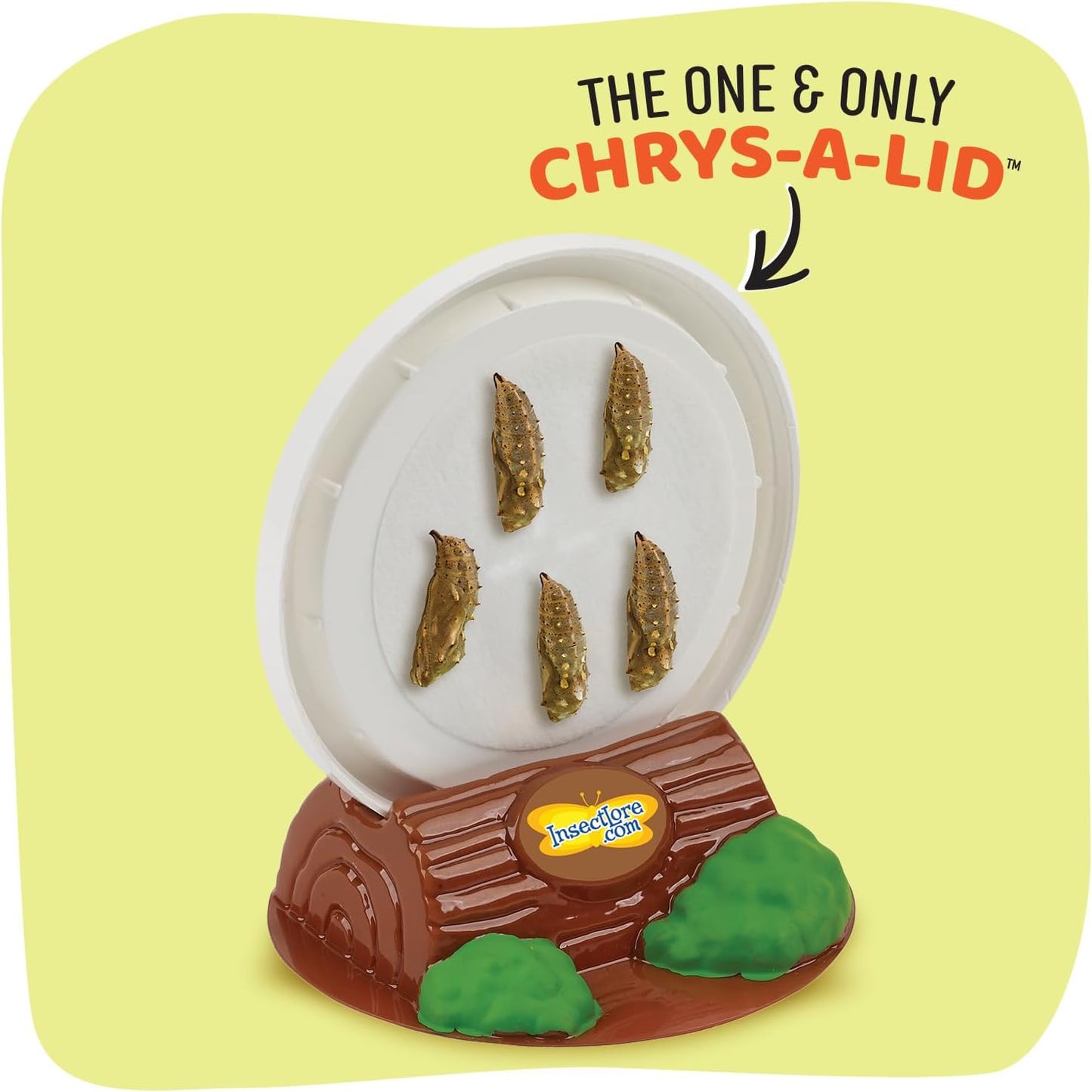 Insect Lore Butterfly Farm - Live Cup of 5 Caterpillars, Reusable Habitat, STEM Butterfly Activity Journal & Supplies - Grow, Observe and Release Painted Lady Butterflies