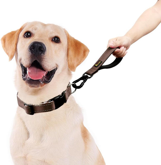 PLUTUS PET Short Dog Leash, Reflective Nylon Padded Handle, Strong Traffic Leash with Carabiner Clip, Perfect for Large or Medium Dogs (10”,Chocolate)