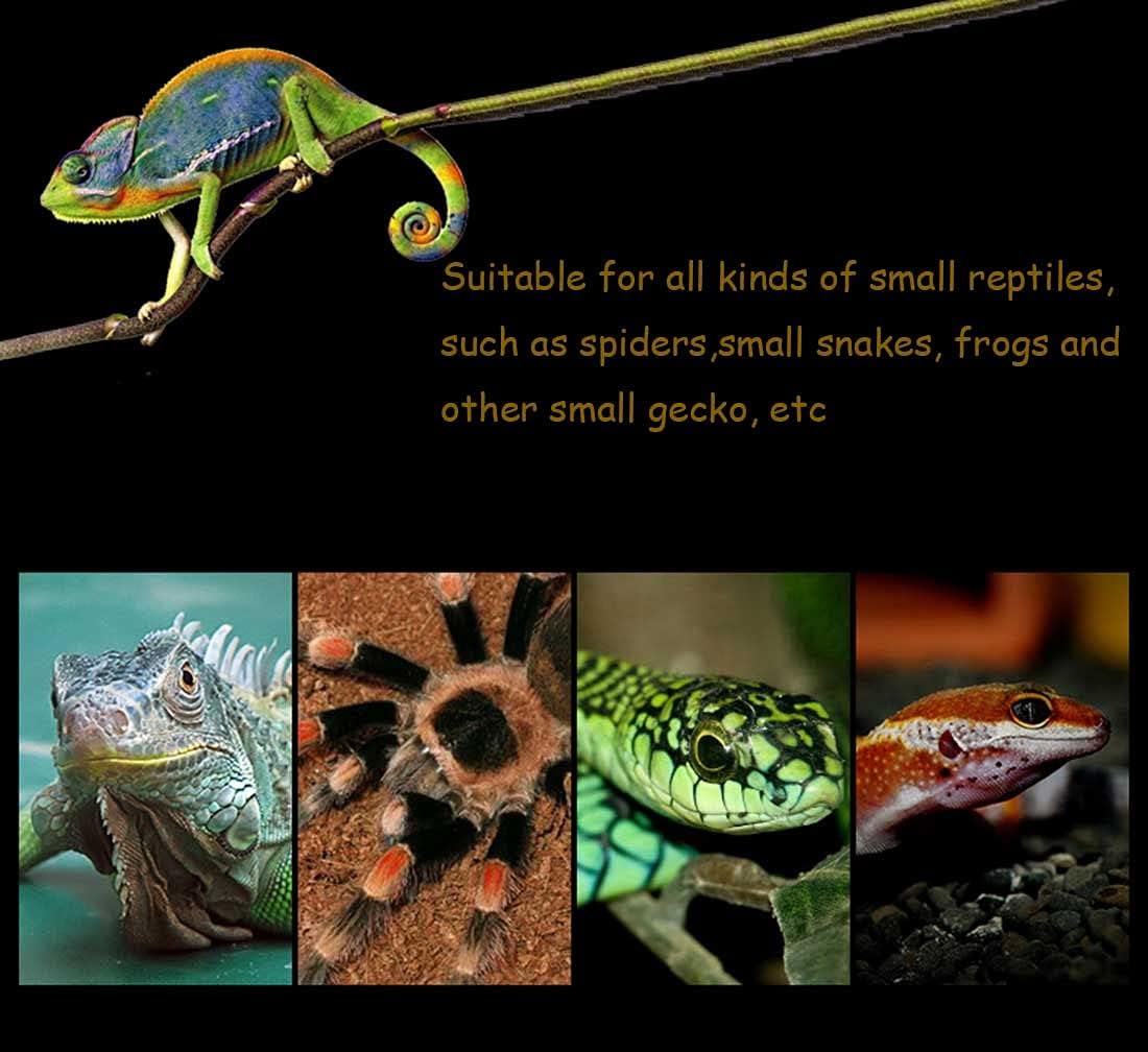 kathson Reptile Feeding Box Portable Small Snake Terrarium Habitat Mini Pet Breeding Cage Hatching Container Transparent Lizard Houses for Tarantula Spider Scorpion Gecko Frog 2PCS (Black)