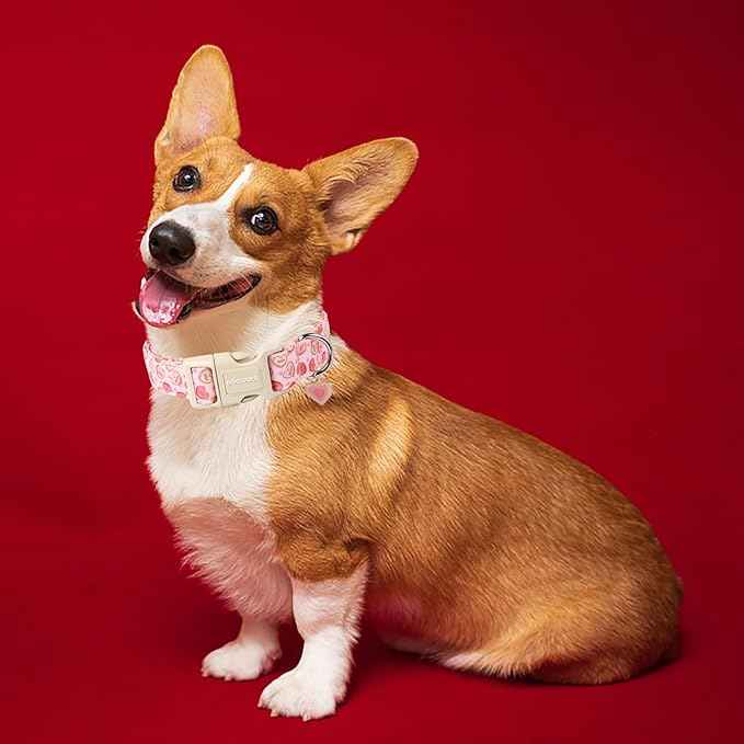 DOGWONG Pink Heart Valentine Dog Collar, Medium, Soft, Adjustable, Cute, for Small to Large Dogs
