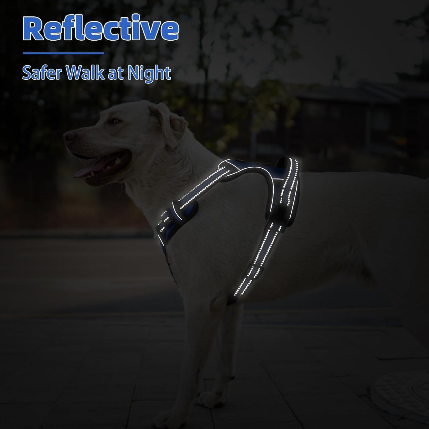 PUPTECK No Pull Dog Harness Small Sized, Adjustable Reflective Dog Harness with Handle Easy Control, Comfortable Soft Padded Pet Vest Harness for Small Dogs, Blue S