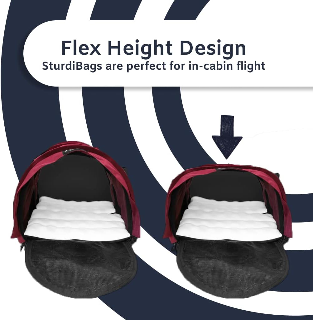SturdiBag Large Pet Travel Carrier: Flexible Height for Cat and Dog Soft Sided with Safety Clips and Seatbelt Straps | Evergreen, 18" x 12" x 12" (PN: SB2-PRO-EG) - Pawvie