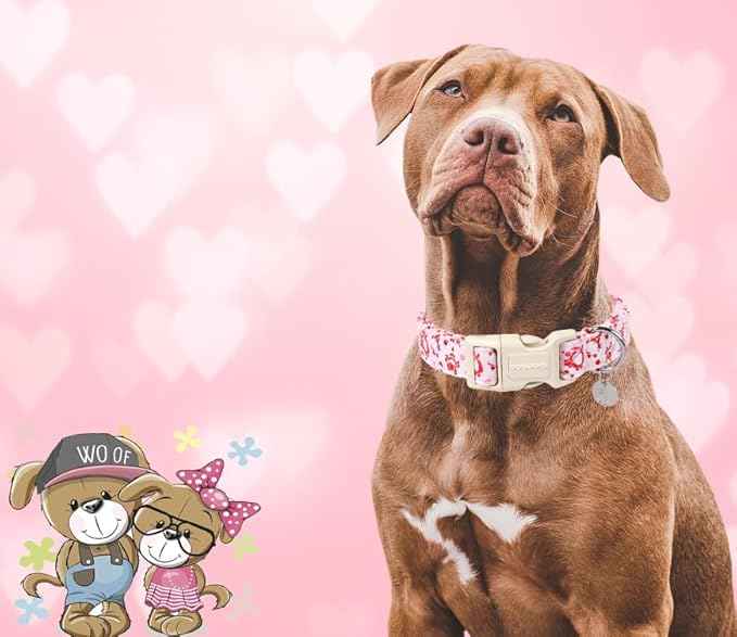 DOGWONG Valentine's Dog Collar, Adjustable Durable Pink Heart Collar for Small Medium Dogs
