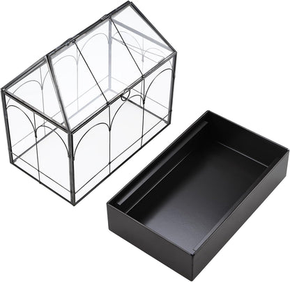 HighFree Glass Terrarium with Metal Tray, Glass Greenhouse Terrarium Kit for Succulents, Cacti, Snails, Spiders, and Miniature Reptiles, Black (Large-9.45" L x 5.7" W x 11.8" H)