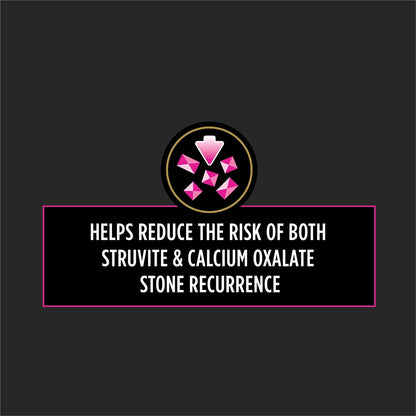 Pro Plan Veterinary Diets Purina UR Urinary St/Ox Feline Formula Dry Cat Food - 16 lb. Bag