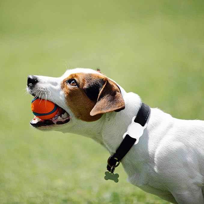 SWINCHO for AirTag Holder 1st & 2nd Generation [2 Pack] Waterproof Silicone AirTag Dog Collar Holder (Black&White)