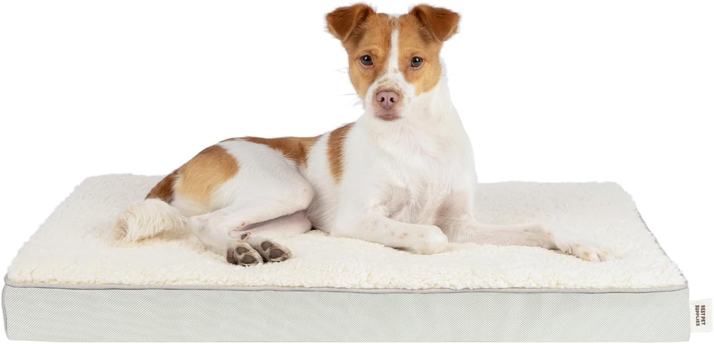 Best Pet Supplies Cute Dog Crate Mat Flat Bed with Waterproof Exterior, Thick Orthopedic Egg Foam Mattress, and Soft Sherpa Fleece Cover for Small, Medium, and Large Breeds - Beige, 35X22X4