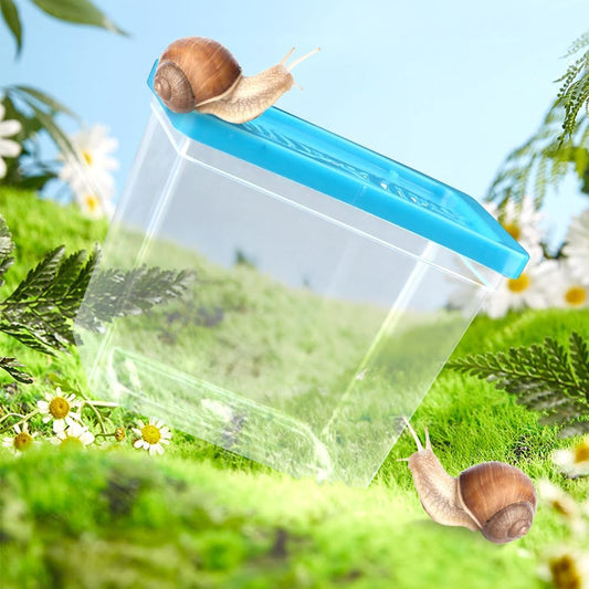 48 Pack Small Plastic Reptile Carrier Tarantula Enclosure Breeding Box Hatching Container for Spider Snail Turtle Hermit Crab Insect (3.9 x 2.9 x 3.1 Inch)