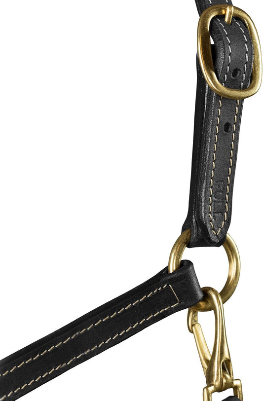 HORZE Fremont Soft Synthetic Leather Horse Halter | Fully Adjustable with Brass Hardware & Contrast Stitching - Black - Cob