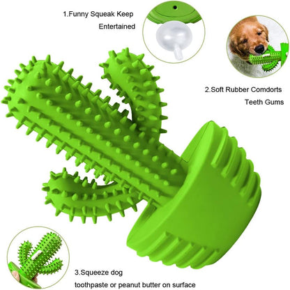 Dog Chew Toys, Toothbrush Stick Teeth Cleaning Brush Dental for Small Medium Large Dog, Rubber Squeaky Toys for Aggressive Chewers Cactus Tough Toys