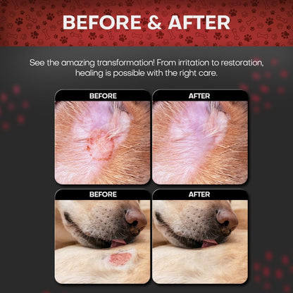 2% Chlorhexidine Wipes for Dogs 3X Larger | Yeast Infection Ringworm Fungus Hot Spot Itch Relief | Medicated Antibacterial Antifungal Extra Gentle Soothing Topical Wipes for Dog Cat | 50 Wipes