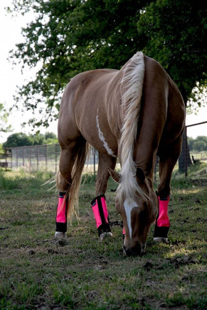 Warrior Fly Boots for Horses - Breathable Mesh Horse Boots for Fly Protection & Leg Comfort - Set of 4 (The Warrior, Neon Pink)