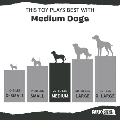 Barkbox Super Chewer Rad Herring Hard Core Toy with Rip Away Plush for Aggressive Chewers, Medium