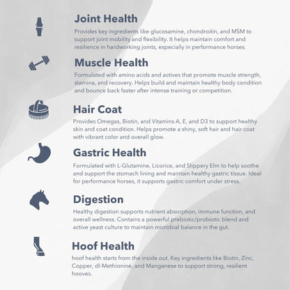 MVP Exceed 6-Way (16lb) High Level Performance Horse Support Pellets. Joint, hoof, Hair, gastric, Digestion and Muscle Support.