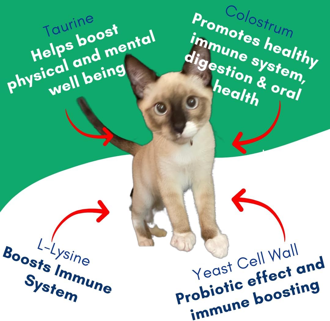 Vitality Lickable Cat Treat Pouches for Indoor Cats - All Natural Chicken Puree Tube Treats, Kitten and Senior Soft Wet Cat Treat - Grain Free, Lysine, Taurine; 12 Tubes .05 oz ea.