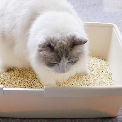 Natural Soy Litter, Tofu Cat Litter - Clumping, Flushable, Ultra Absorbent and Fast Drying - Zero Dust, Low Tracking - Unscented, 2 Pack