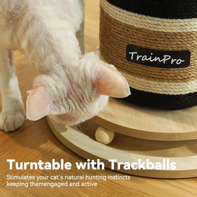Premium Natural Hemp Cat Scratcher, Durable Scratching Post for Indoor Cats, Stable Climbing Pole, Furniture Protector, Kitten Play Tower, Activity Center with Bonus 20 X 15” Pet Bed
