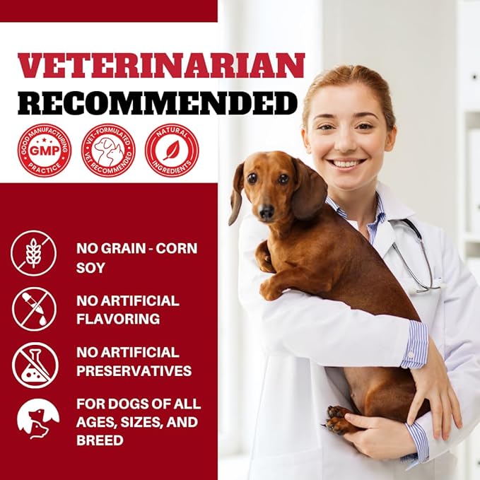 Dog Probiotics Chews Supplement – Digestive Support & Gut Health for Dogs, Helps Loose Stool, Gas & Sensitive Stomachs, Supports Itchy Skin, Allergy & Immune Health – 120 Ct