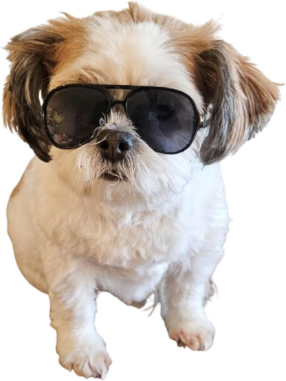 G029 Small Dog Breed up to 15lbs Cat Pet Aviator Sunglasses Glasses (Black)