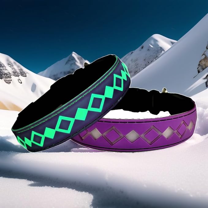 LED Dog Collar with AirTag Holder and Custom ID Tag, 15 Light Modes, Waterproof, Multiple Colors (PURPLE, XL(19.7-23.6"))