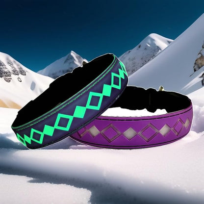LED Dog Collar with AirTag Holder and Custom ID Tag, 15 Light Modes, Waterproof, Multiple Colors (PURPLE, S(7.87-11.8"))
