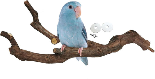 kathson Natural Parrot Perch Bird Stand Pole Wild Grape Stick Paw Grinding Fork Parakeet Climbing Standing Branches Toy Chewable Cage Accessories for Small Budgies Cockatiels Lovebirds