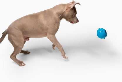 Jolly Dipper Treat Dispensing Dog Toy