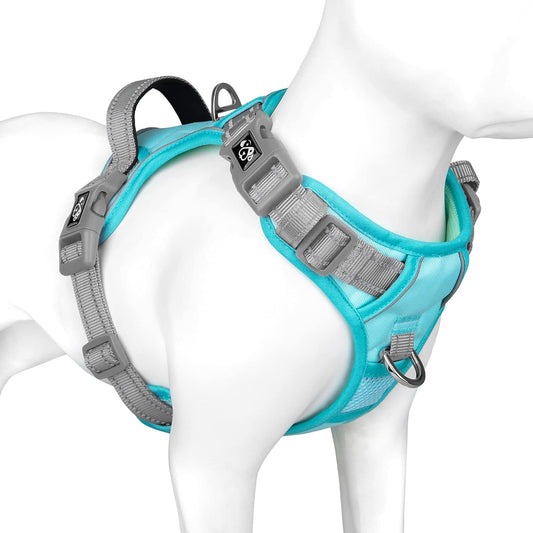 PHOEPET No Pull Dog Harness, Unique Colors Reflective Adjustable Dog Vest, with Soft Training Handle Metal Clips for Small Medium Large Dogs (Mint Green Base & Grey Straps,L)