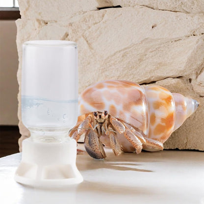 5 Pcs Jumping Spider Ant Water Feeder Bee Plastic Water Feeding Tarantula Water Bowl Spider Feeder (Capacity: 20ml)