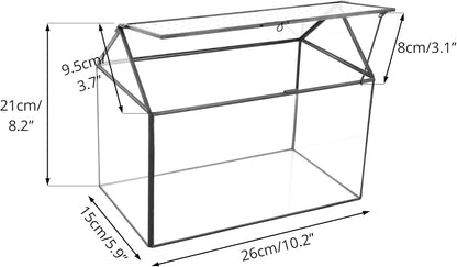 NCYP House Shape Glass Terrarium with Acrylic Lid - 10.2x5.9x8.2 Inches Large Geometric Box for Snails, Ferns, Succulents, Air Plants, Indoor Tabletop Decor, Handmade (Terrarium Only)