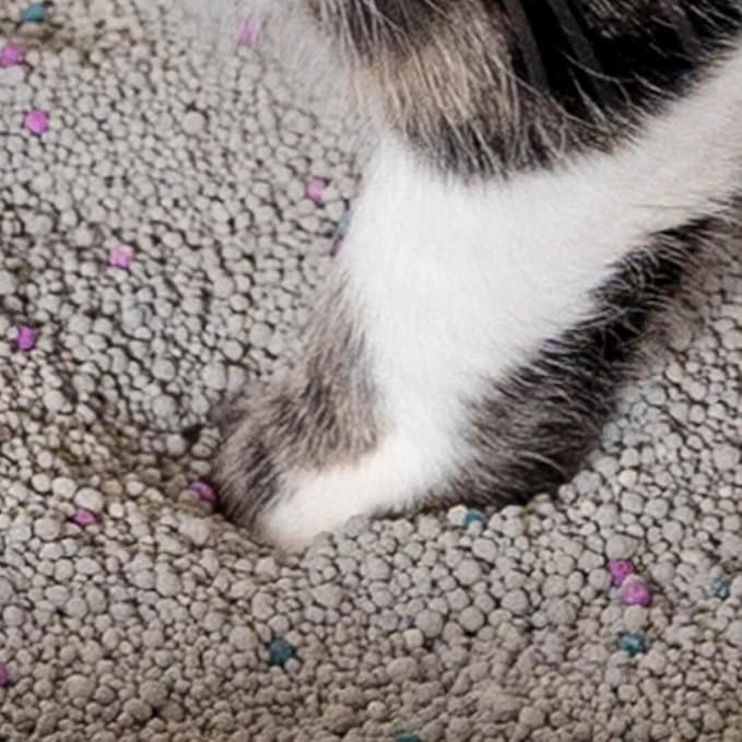 Omlet Clay Clumping Cat Litter | Long Lasting and Low Waste | Absorbent and Sustainable | Excellent Odour Control and High Absorbency | No. 4 - Clay - 17 lbs. 10 oz.