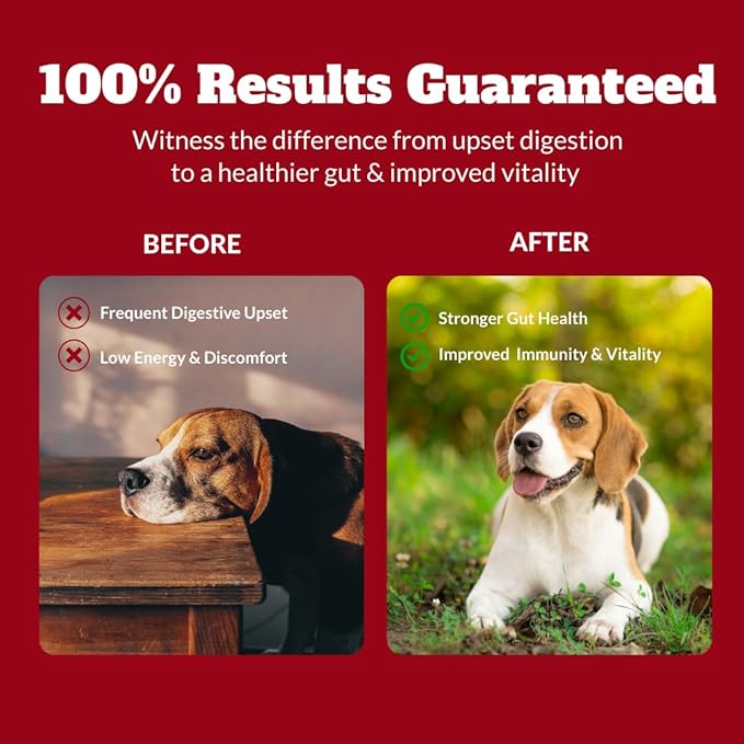 Dog Probiotics Chews Supplement – Digestive Support & Gut Health for Dogs, Helps Loose Stool, Gas & Sensitive Stomachs, Supports Itchy Skin, Allergy & Immune Health – 120 Ct