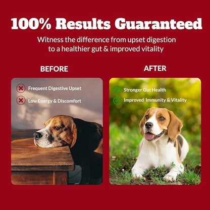 Dog Probiotics Chews Supplement – Digestive Support & Gut Health for Dogs, Helps Loose Stool, Gas & Sensitive Stomachs, Supports Itchy Skin, Allergy & Immune Health – 120 Ct