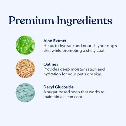 Honest Paws Dog Dry Shampoo - Waterless No Rinse Spray Formula Reducing Itch Cleanse Hydrate Nourish Dry Skin and Smelly Coat Help Decrease Odor Shedding and Allergies - Oatmeal & Lavender - 16 oz