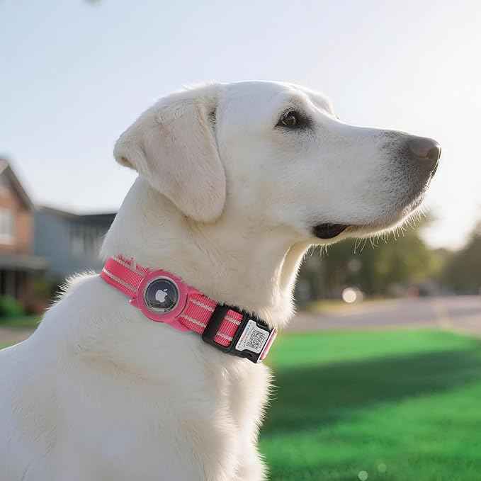 Airtag Dog Collar with QR Code, Reflective Dog Collar with Airtag Holder, Soft Padded & Safety Locking Buckle Adjustable Dog Collar for Small Dogs