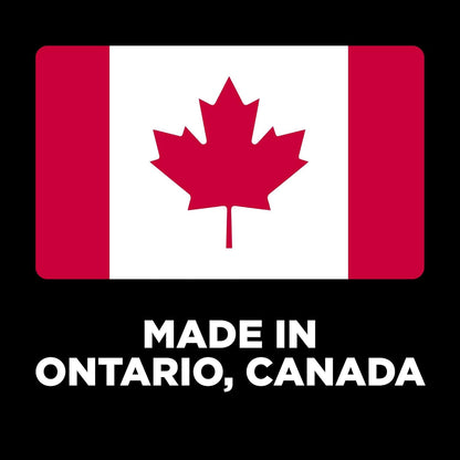 Go! Solutions Skin + Coat Care, Dry Dog Food, Large Breed Adult Salmon Recipe with Grains, 12 lb Bag