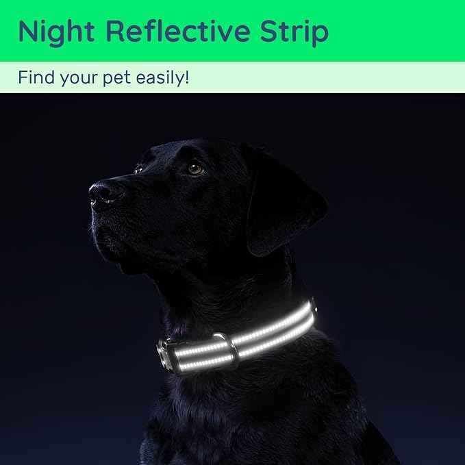 Airtag Dog Collar with QR Code, Reflective Dog Collar with Airtag Holder, Soft Padded & Safety Locking Buckle Adjustable Puppy Collar
