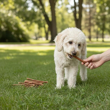 Wild Eats Water Buffalo Collagen Sticks for Dogs (25 Pack, 0.6 cm Wide) Long Lasting Dog Chews, No Hide Dog Treat Bully Stick Alternative, Rawhide Free, Grain Free, High Protein