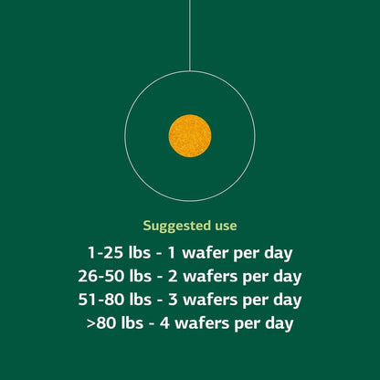 Standard Process Inc. Canine Flex Support - Joint & Immune Health Supplement for Dogs - Chewable Wafers for Healthy Joint Function Support - Nutritional Whole-Food Based Supplement - 100 wafers