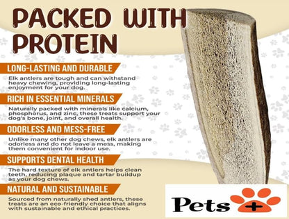 Pets Plus Split Antler Chews for Dogs – 6 Inch, Medium, 2-Pack – Natural Deer Antlers, Long-Lasting Dog Chew Bones, Odor-Free, for Aggressive Chewers & Dental Health