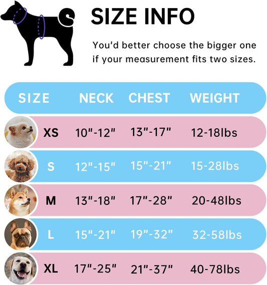 IVY&LANE No Pull Dog Harness with Leash Set, Reflective No Choke Pet Vest,Adjustable Oxford Dog Vest Harness with Easy Control Handle for Small Dogs (Checkered Blue,S)